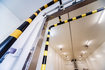 Empty industrial freezer warehouse for vegetable storage.