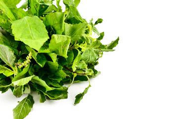Holy Basil , Ocimum sanctum, Ocimum tenuiflorum ,or tulsi leaves isolate on white background.Health benefits of Tulsi leaf or Holy Basil essential oil