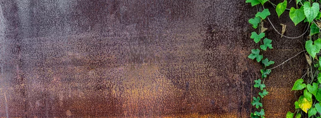 Panoramische Grunge verrostete Metallstruktur mit kriechender Pflanze. Überwucherte Pflanze auf Rost und oxidiertem Metallhintergrund. Alte Metalleisenplatte mit Baumrebe. © Ongushi