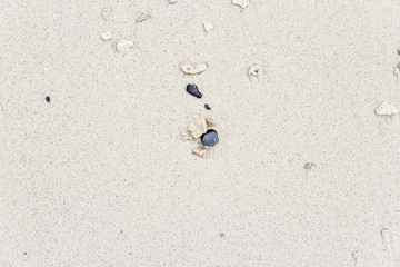 Sea beach sand texture background