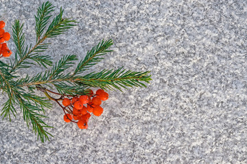 A branch of green spruce and frozen berries of natural mountain ash on the background of ice, frost, snowflakes. Natural new year, Christmas holiday background, copy space, flat lay