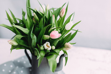  Pink and white tulips in a vase on the table