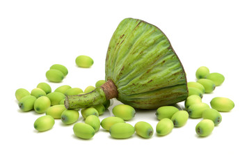 calyx on a white background