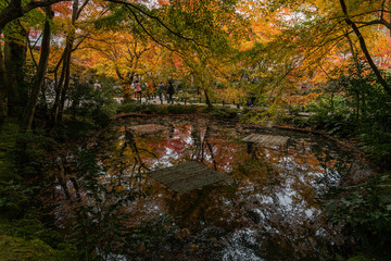 日本 京都 圓光寺の紅葉と秋の景色