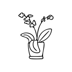 orchid plant and flowers in pot. element in hand drawn style. simple liner doodle scandinavian.