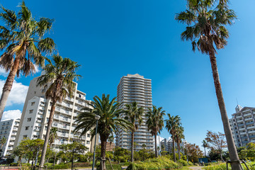 浦安のマンション群