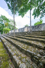 Fototapeta na wymiar The ruins of the ancient Mayan city of calakmul, campeche, Mexico