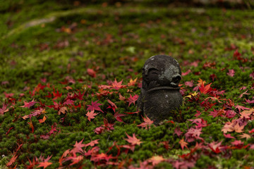 日本 京都 圓光寺の紅葉と秋の景色