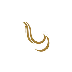 Obraz na płótnie Canvas hair logo template design vector