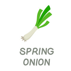 cute word vocabulary good food green vegetable