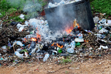 Burning plastics in the forest is highly toxic