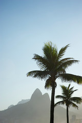 Scenic afternoon view of the dramatic skyline of Rio de Janeiro, Brazil with Two Brothers Mountain standing behind palm trees on Ipanema Beach