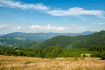 Naklejka premium Landscape of bright summer day in Carpathian mountains, panorama of Carpathians, blue sky, trees and green hills, beautiful view