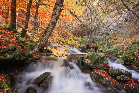 Rios En La Sierra De La Demanda. La Rioja. Spain