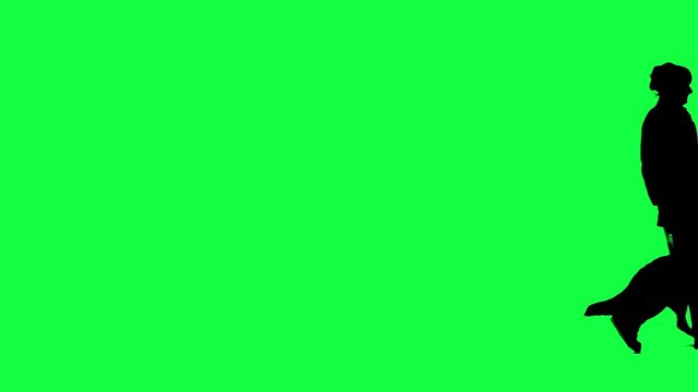 Black silhouette of a woman walking her dog in front of a Greenscreen.
