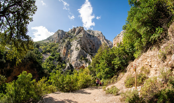 Gorropu canyon