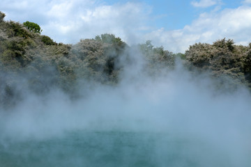Rotorua Neuseeland heiße Quellen und Geysire © Andrea Geiss