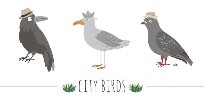 Vector illustration of funny seagull, raven, pigeon with poo. Sea or city birds in hats picture isolated on white background. Flat cute animal character clip art..