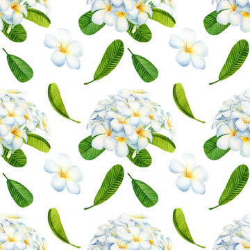 seamless pattern of exotic flowers, green leaves on an isolated white background, watercolor illustrations, tropical plumeria plants