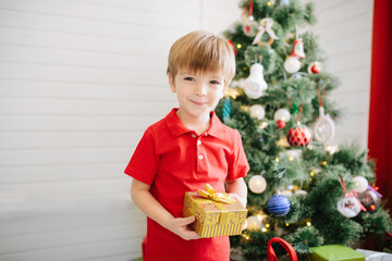 Cute little boy of about five year with a gift in a decorated Christmas room with a xmas tree.