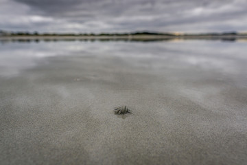 la plage a marée basse