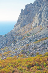 multicolored autumn forest sea and mountains