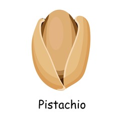 Pistachio. Vector illustration isolated on white background. Useful vegan food. Nuts are good.