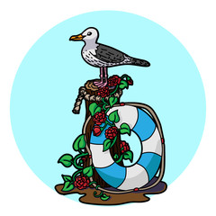 seagull vector illustration