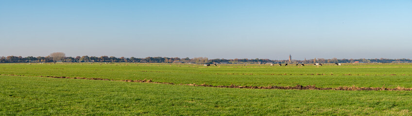 Polder landscape with meadows and church tower of Eemnes, Eempolder, Netherlands