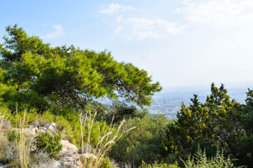 Nature, Mountain, Summer, Northern Cyprus