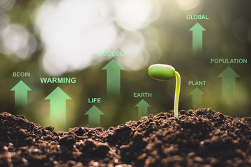 Seedlings are growing from the soil and have icon technology about the benefits of trees to the...