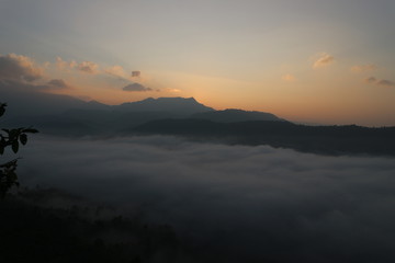 moutian travel white green forest