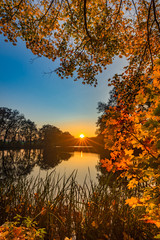 Sunset fall landscape at lake with colorful leaves on tree - obrazy, fototapety, plakaty