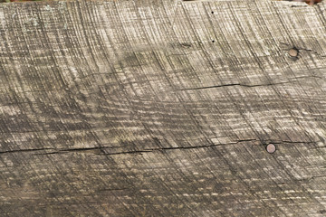 Fototapeta premium marks on derve from the tool