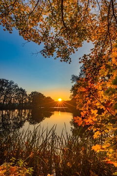 Sunset fall landscape at lake with colorful leaves on tree