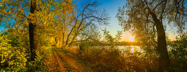 Fototapeta na wymiar Landscape panorama at fall season with path along lake and trees with beautiful sunset 