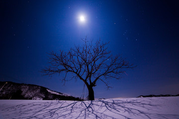 冬の満月と夜空 Yamagata Prefecture