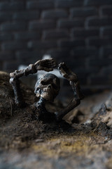 墓場と骸骨のジオラマ模型
