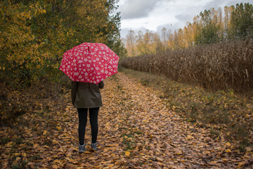 Woman with umbrella walking in the autumn park