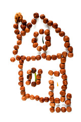 Fabulous walnut house on white isolated background.