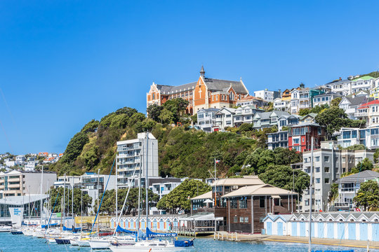 Blick vom Hafen von Wellington auf Mount Victoria auf der Nordinsel von Neuseeland