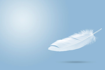  Feather abstract background, Soft single white feather floating in the air