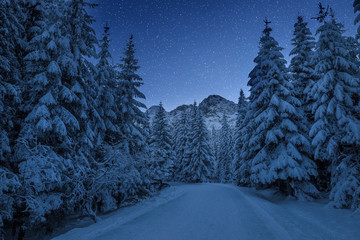 Fototapeta na wymiar Clear christmas night in Italian Alps