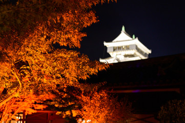 秋の小倉城庭園ライトアップ