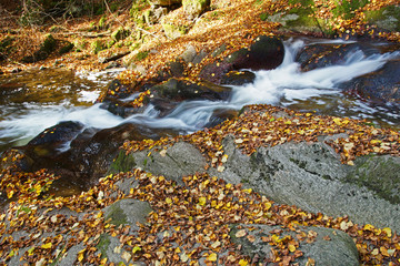 Fototapeta na wymiar Pesenbachtal im Herbst