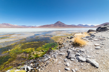 Laguna Blanca, White Lagoon, Eduardo Avaroa National reserve, Bolvia © insideout78
