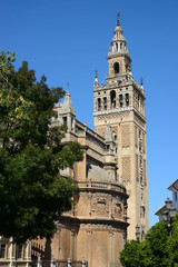 Fototapeta na wymiar Stunning view of Sevilla Catedral, Andalusia, Spain