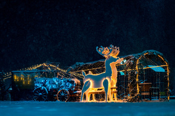 christmas  in the park