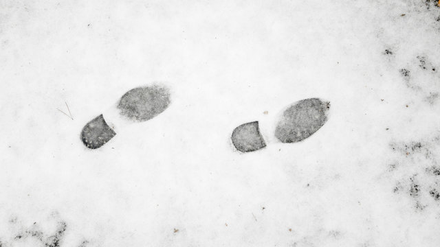 A Shoe And Boot Print On The Melted Snow, Winter. Classic Shoe Print Shape. On The Background Of Yellow Leaves And Puddles