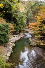 清流と紅葉